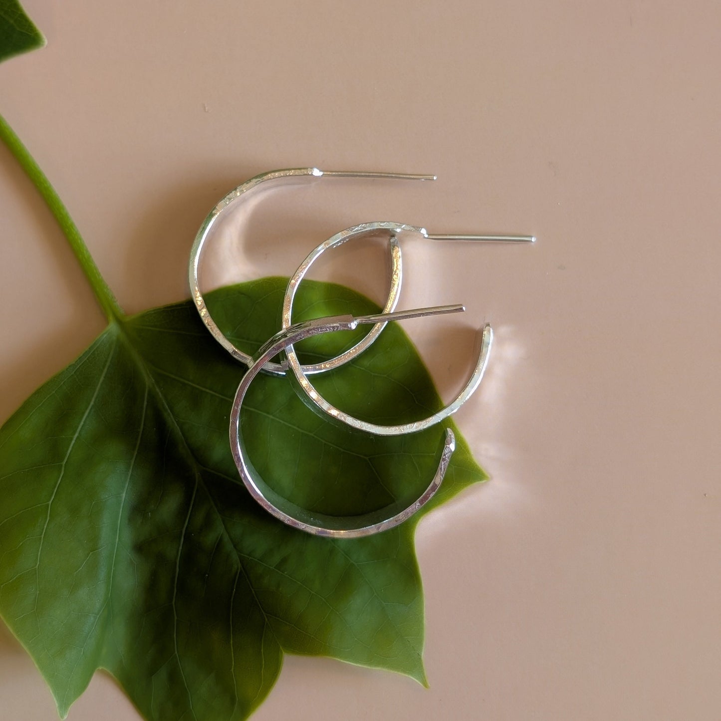 Stamped Everyday Hoops